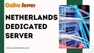 Maximising Business Efficiency with Netherlands Dedicated Server Solutions