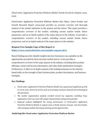 Cloud-native Application Protection Platform Market