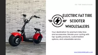 Electric Fat Tire Scooter Wholesalers