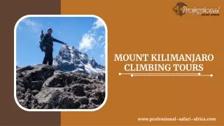 Mount Kilimanjaro Climbing Tours