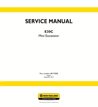 New Holland E30C Cab TIER 4 final engine Mini Excavator Service Repair Manual