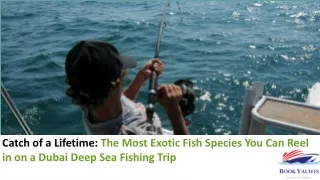 The Most Exotic Fish Species You Can Reel in on a Dubai Deep Sea Fishing Trip