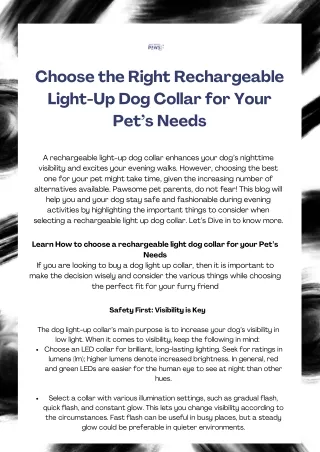 choose a rechargeable light dog collar for your Pet’s Needs