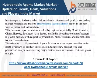 Hydrophobic Agents Market Market