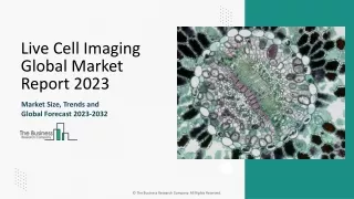 Live Cell Imaging Market Size, Share, Industry Trends And Outlook 2033