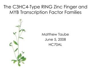 The C3HC4-Type RING Zinc Finger and MYB Transcription Factor Families
