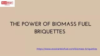 The Power of Biomass Fuel Briquettes