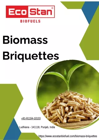 Environmentally Friendly Energy: Exposing Biomass Briquettes' Potential