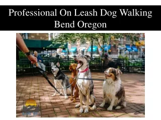 Professional On Leash Dog Walking Bend Oregon