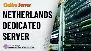 Netherlands Dedicated Server Hosting: Elevating Your Online Presence with Onlive