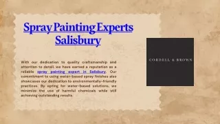 Spray Painting Experts Salisbury