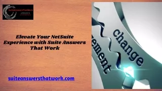 Comprehensive Guide to NetSuite Customization at Suite Answers That Work