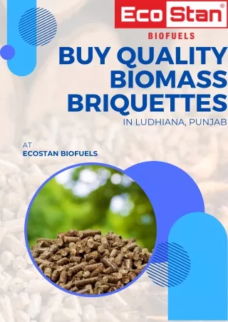 Buy Quality Biomass Briquettes in Ludhiana, Punjab