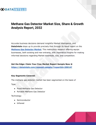 Methane Gas Detector Market