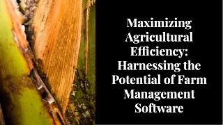 Agriculture Farm Management