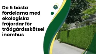De 5 bästa fördelarna med ekologiska fröjordar för trädgårdsskötsel inomhus