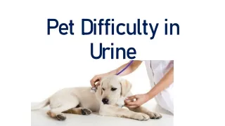 Pet Difficulty in Urine