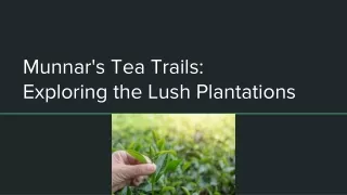 Munnar's Tea Trails: Exploring the Lush Plantations