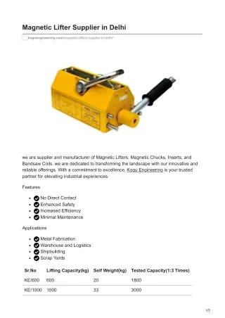 Magnetic Lifter Supplier in Delhi