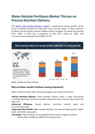 Water-Soluble Fertilizers Market Thrives on Precise Nutrition Delivery