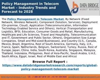 Policy Management in Telecom Market