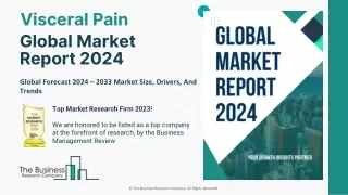 Visceral Pain Market 2024 - By Size, Share, Trends, Growth Analysis And Outlook