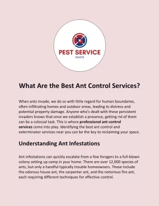 What Are the Best Ant Control Services?