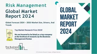 Risk Management Market Size, Share Analysis, Trends, Industry Forecast 2033