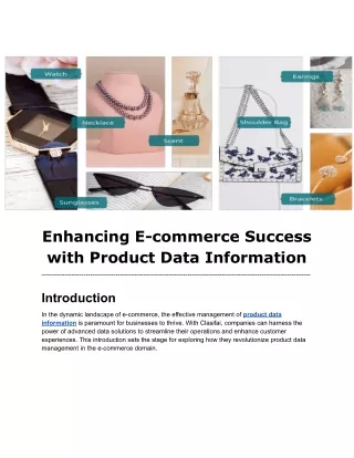 Enhancing E-commerce Success with Product Data Information