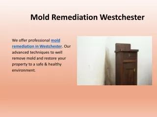 Mold Remediation Westchester