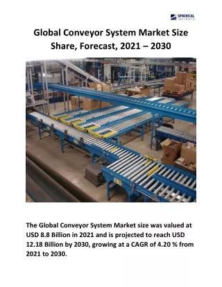 Global Conveyor System Market Size Share