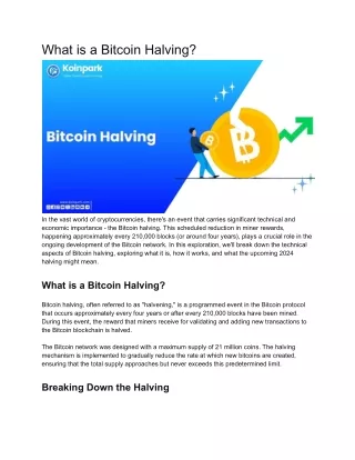 What is a Bitcoin Halving
