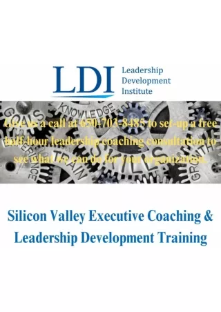 Optimizing Leadership Dynamics Tailored Coaching and Development in Silicon Valley, CA