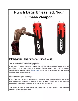 Punch Bags Unleashed Your Fitness Weapon