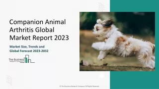 Companion Animal Arthritis Market Size, Analysis And Share Report 2024-2033