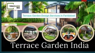 Terrace Garden Design Services in Faridabad