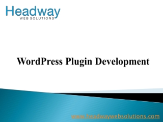 WordPress Plugin Development