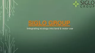 Unlocking Sustainable Futures Siglo Group's Innovative Ecological Planning and D