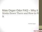 Male Organ Odor FAQ