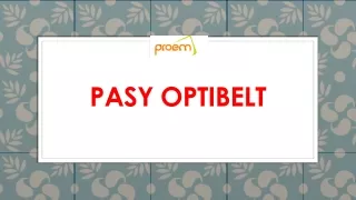 Pasy optibelt