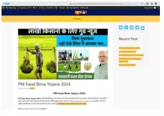 PM Fasal Bima Yojana 2024- Master blog