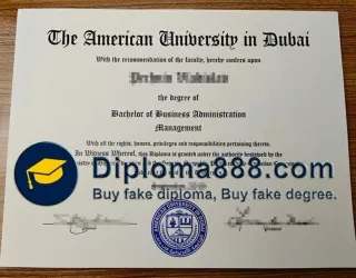 Buy fake American University in Dubai diploma online,