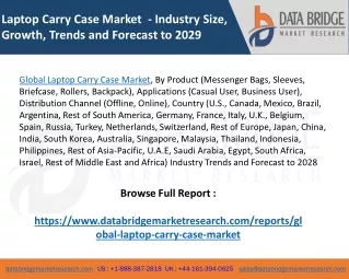 Global Laptop Carry Case Market