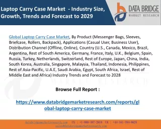 Global Laptop Carry Case Market