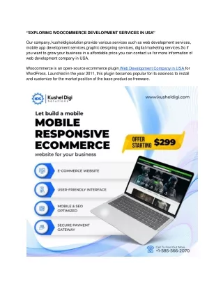 ‘’EXPLORING WOOCOMMERCE DEVELOPMENT SERVICES IN USA’’ (1)