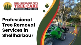 Professional Tree Removal Services in Shellharbour