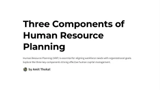 What are the Three Components of Human Resource Planning