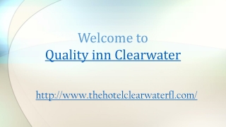 Quality inn clearwater