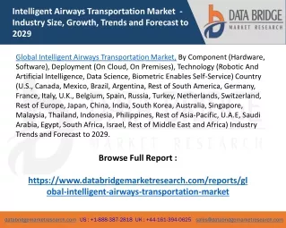 Global Intelligent Airways Transportation Market