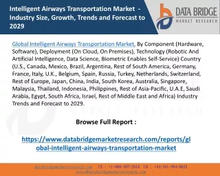 Global Intelligent Airways Transportation Market